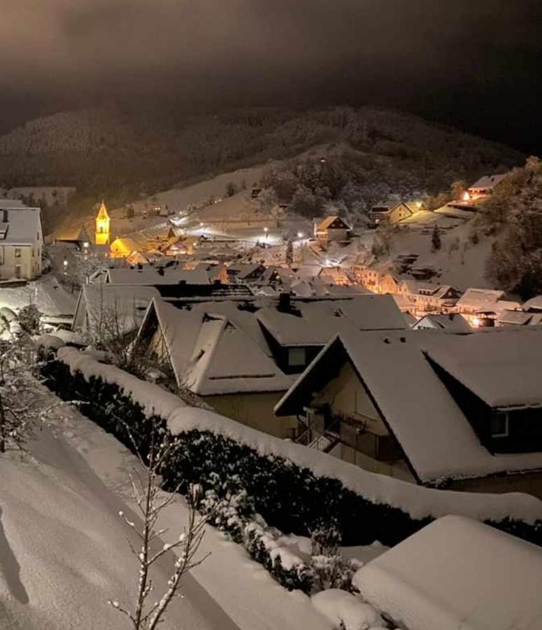 Gaestehaus Haaser Hotell Bad Peterstal-Griesbach Exteriör bild