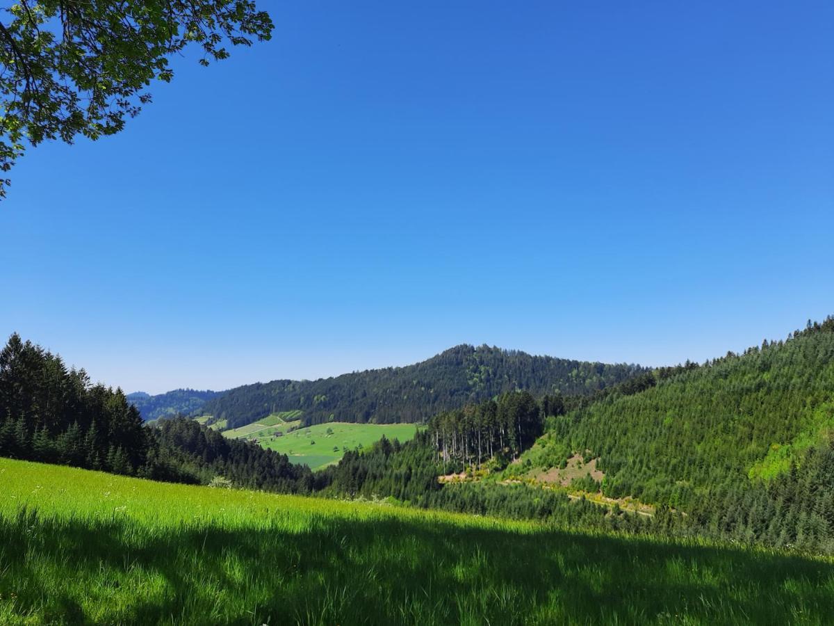Gaestehaus Haaser Hotell Bad Peterstal-Griesbach Exteriör bild