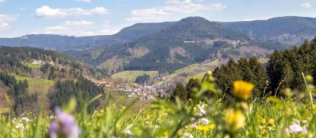 Gaestehaus Haaser Hotell Bad Peterstal-Griesbach Exteriör bild