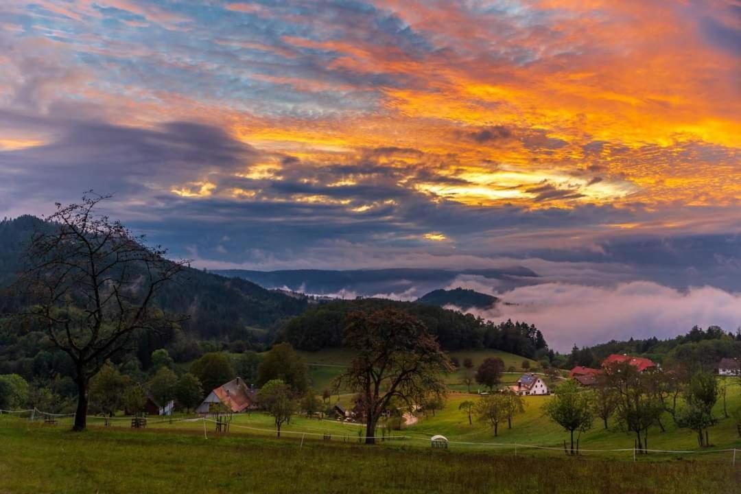 Gaestehaus Haaser Hotell Bad Peterstal-Griesbach Exteriör bild