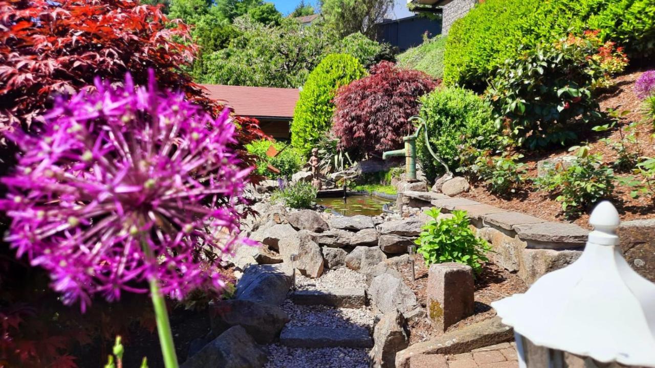 Gaestehaus Haaser Hotell Bad Peterstal-Griesbach Exteriör bild